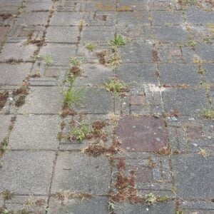 Diensten, Projecten, Reiniging